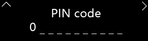 PIN Entry